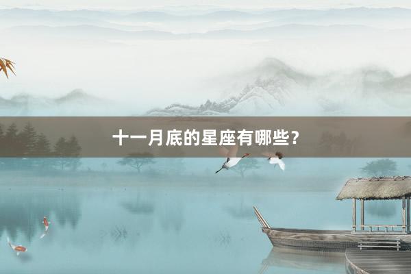 十一月底的星座有哪些？