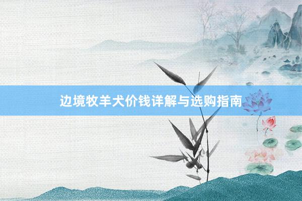 边境牧羊犬价钱详解与选购指南