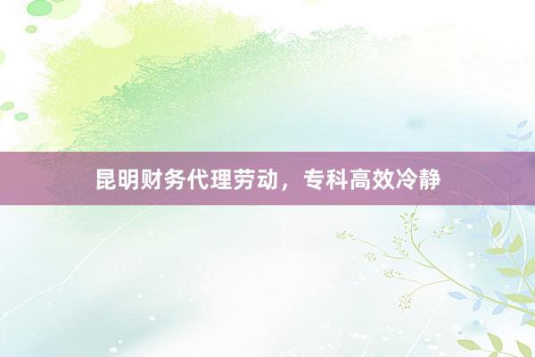 昆明财务代理劳动，专科高效冷静